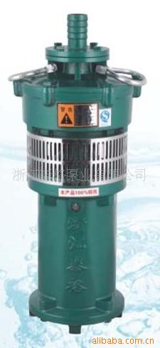 油浸式潜水电泵.jpg11