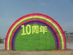 花柱,花球 花墙