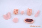 ��Ӧ�������ģ�� ��ѧ���� ����ģ��