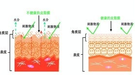 特价供应美白淡斑啫喱 低价促销