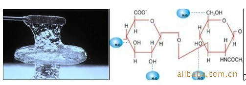 批發(fā)供應氨基酸潔面乳/洗面奶 溫和無刺激