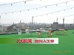 宁德地区批发:一次注塑成型的可DIY组合的塑料人工草坪