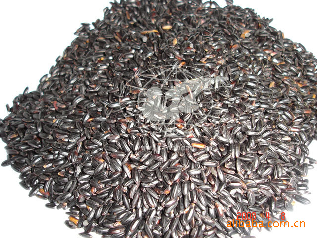 黑糯米 糯米 紫糯米 血糯米 大米 營養食品 黑色雜糧批發五谷雜糧