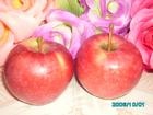 冷库供应大批量优质，产地直销绿色食品红富士苹果