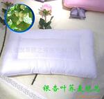 供应使人轻松入睡的草原之秀银杏叶荞麦保健枕---A