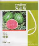 供应帅童种子【超甜/皮薄/耐运】先正达小型无籽西瓜