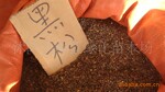 出售优质的绿化苗木 花卉种子 含笑种子 草坪种子、 黑松种子等
