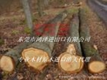 欧洲白橡进口清关公司香港原木进口报关代理公司