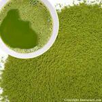 绿茶粉茶叶有机绿茶