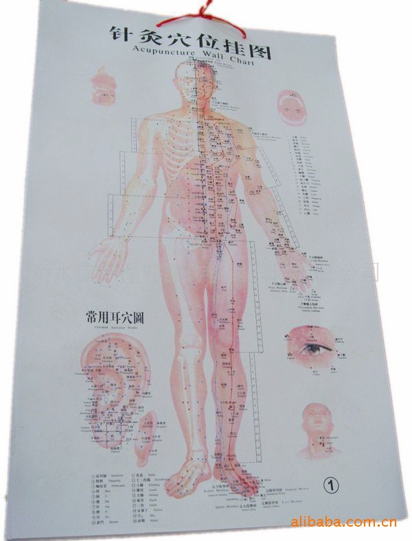 中医针灸图 7张一套 针灸挂图 人体针灸穴位图