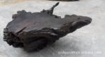 ��ľ����  ����輸  ������ľ�輸