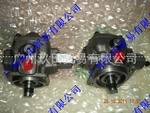 PVD35H/30-DUPLOMATIC�������꣩-VPPM-029PC-R55S/10N000