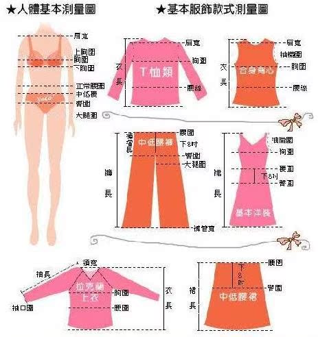 衣服尺寸