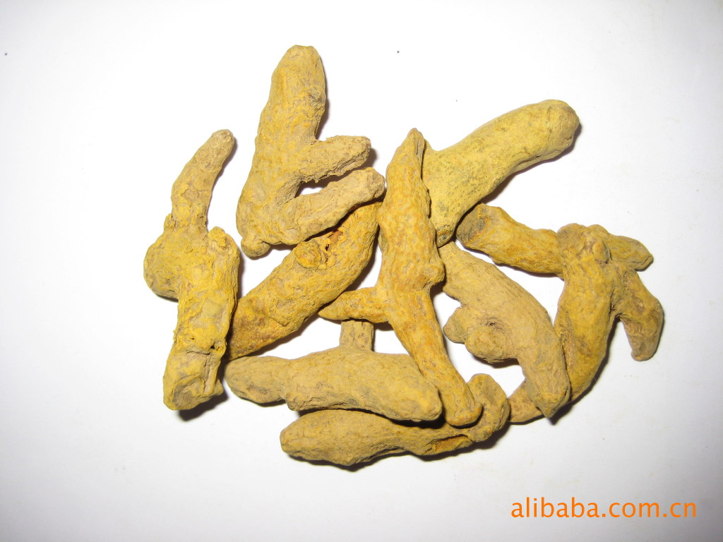常年供应姜黄、药用和色素提取