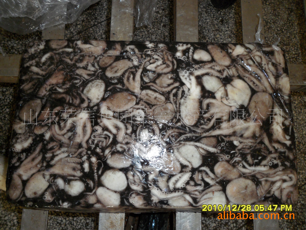 供应海鲜冷冻粗加工水产品黄海产50-100G每条的原汁八爪鱼