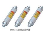 厂家供应XRNP-10/0.5,款式多样