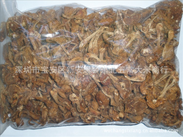 東北特產 滑子菇 滑菇 珍珠菇 營養美味食用菌 蘑菇 250g