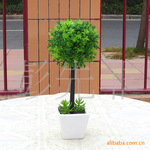 婴儿泪球带盆 幸福圆球草 仿真植物 家私配套塑胶仿真花