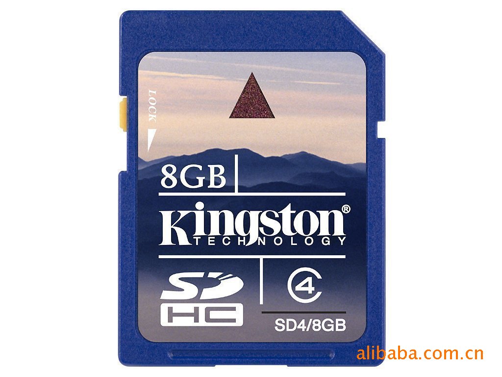 sd card (32)