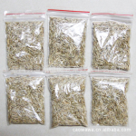 草娃娃 供应草籽 草娃娃专用 青草种子 一袋2g 草坪种植