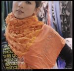 ����SCARF ����  ��������Χ��  111128