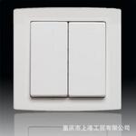 ABB开关德韵直边二开单控正品AL102