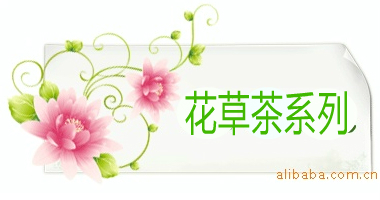 ���ݲ�ϵ��