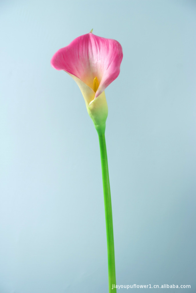 田园家居装饰马蹄莲,慈菇花--pu仿真花,假花厂家直销批发