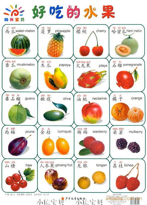 阳光宝贝挂图 好吃的水果 40种水果 幼儿启蒙早教挂图