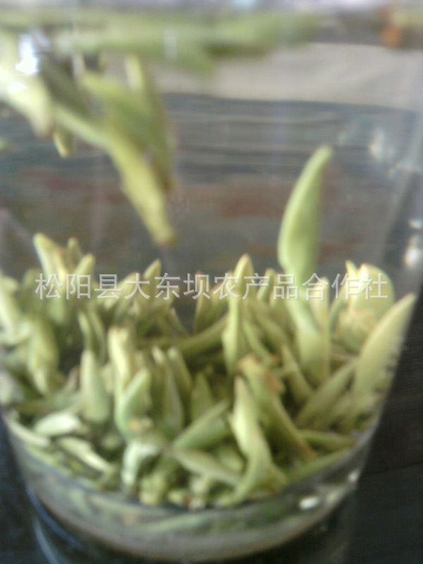 松阳产哪些茶叶
