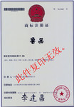 核桃苗价格,山东核桃苗价格