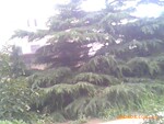 �ӱ���ˮ�������غ�ׯ��15Ķ���س�������