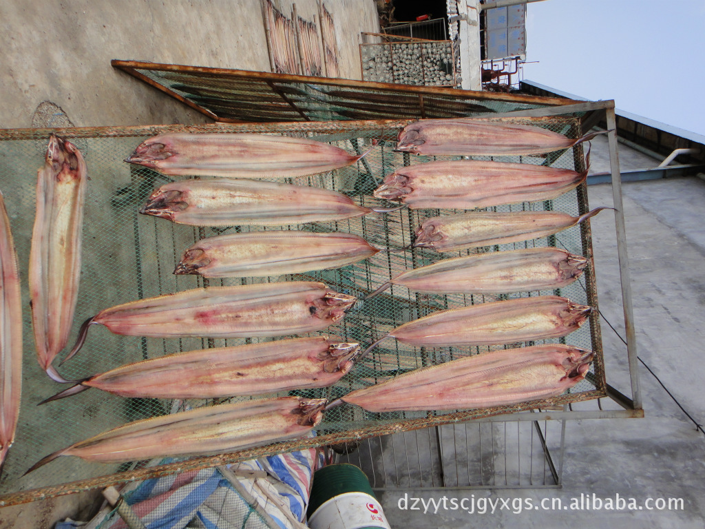 海產品干貨，鰻魚干制品全國招商，海鰻干