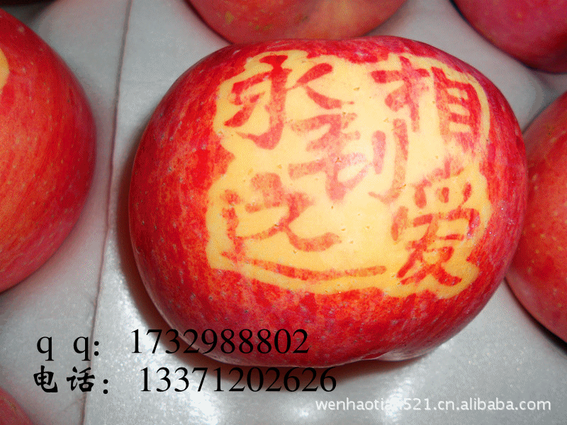 圣诞节礼品 平安果礼盒 新上印字刻字红富士苹果