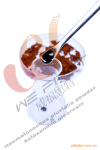 含虾青素的雨生红球藻粉(已破壁)AstaFirst A020(图)