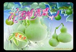 王婧开心农场 花园的诱惑厂家直销 免费加盟 西葫芦