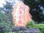 直销假山园林石 刻字园林石 自然园林石 风景石园林石