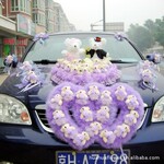 ������ͨ������ɫ ��ͨ�鳵װ�� ��ͷ����װ�� ������ż����Z035