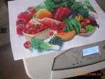���Ĳ�������/HP5500A3���ֲ�ɫ�����ӡ��/22/���ؼ�����