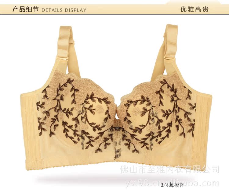 胸罩貼牌