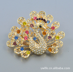 ��Ʒ �¿��ȸ���� ���߲ʿ�ȸ ����