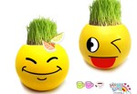 DIY�칫������ֲ�� �����������ֲQQ���� �������� ���