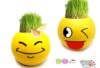 DIY�칫������ֲ�� �����������ֲQQ���� �������� ���