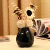 藤条香薰 朗芬正品 太阳木花黑白陶瓷瓶无火香薰礼盒(单个装)
