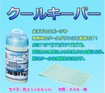 PVA COOL TOWEL 冰凉毛巾 防暑降温 