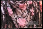 ���� SCARF �ֹ� ���� ë�� ���� Χ��  1111280