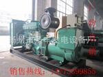 ����ֱ�� ȫ��200-1800KW���쿵��˹���ͷ������