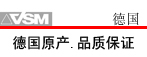 �¹�VSM