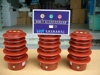 DXN-10T 带电显示装置 DXN-T
