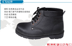 cy619x[1]33元-35元